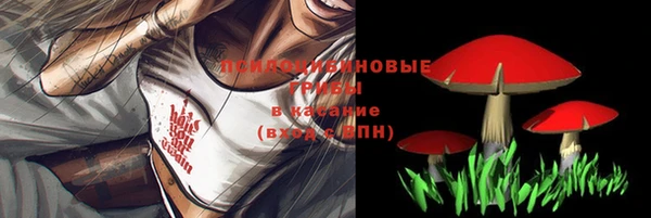 соль ск Балабаново