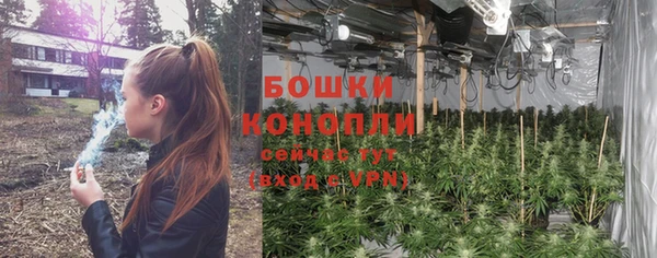 соль ск Балабаново