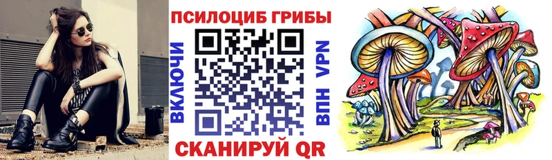 Галлюциногенные грибы прущие грибы Куртамыш