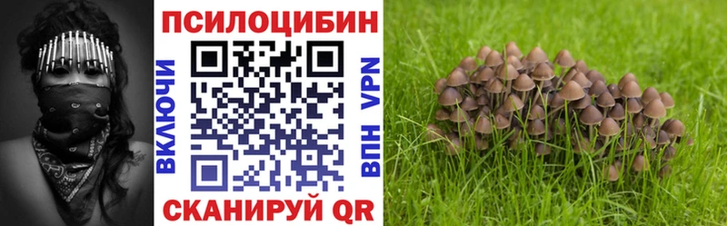 Галлюциногенные грибы MAGIC MUSHROOMS  Куртамыш 